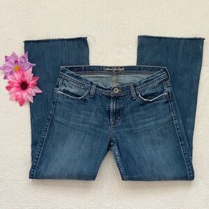American Eagle Hipster Relaxed Flare Vintage Jeans